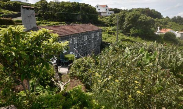 Adega do Gato Calhau Exterior foto